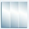 Glass Less Mirror Tri Fold