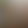 ARTISAN-GOLD-WITH-BURNT-UMBER.jpg