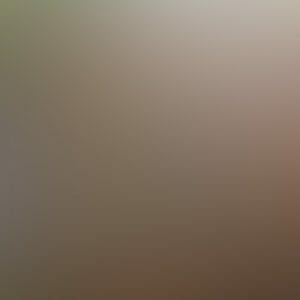 ARTISAN-GOLD-WITH-BURNT-UMBER.jpg