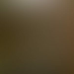 ARTISAN-OIL-RUBBED-BRONZE-DARK.jpg