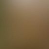 ARTISAN-SILVER-WITH-BURNT-UMBER.jpg