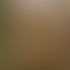 ARTISAN-SILVER-WITH-BURNT-UMBER.jpg