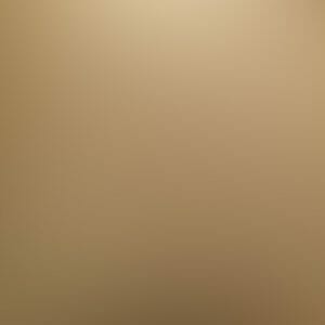 ARTISAN-SILVER-WITH-TUSCAN-BRONZE.jpg