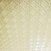 Cream Pearl Ceiling Tile Design 142