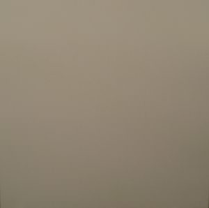 Drop In ceiling Tile Finou
