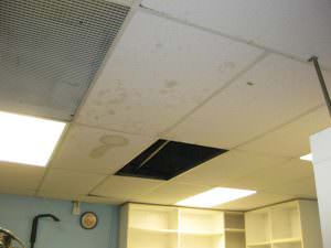 Drop in Ceiling Tile