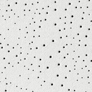 USG 56090 Clean Room Drop In Ceiling Tile